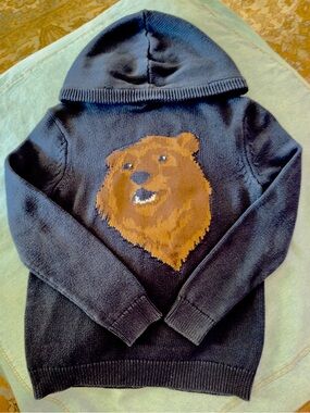 Old Navy Boys Bear Hooded Sweater Size L (10) Navy Blue Heavy Knit 100% Cotton